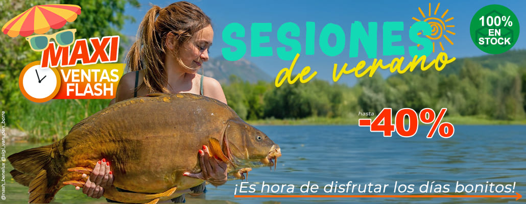 Sesiones de Verano
