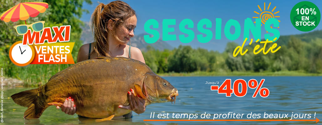 Sessions d'été