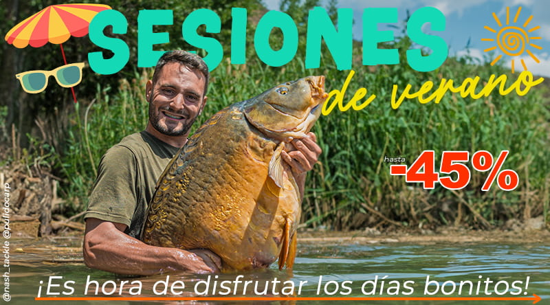 Sesiones de Verano