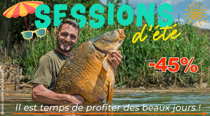Sessions d'été