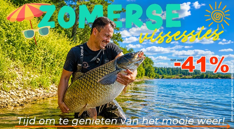 Zomer visreis