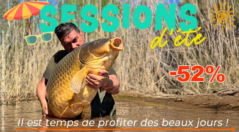 Sessions d'été