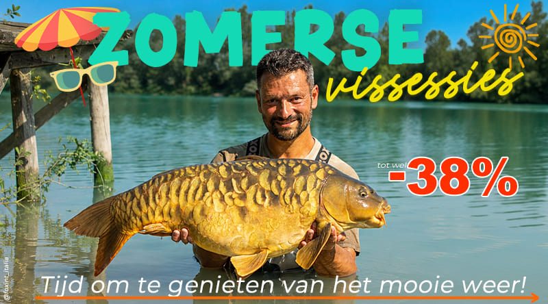 Zomer visreis