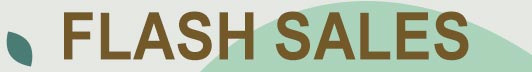 Flash Sales